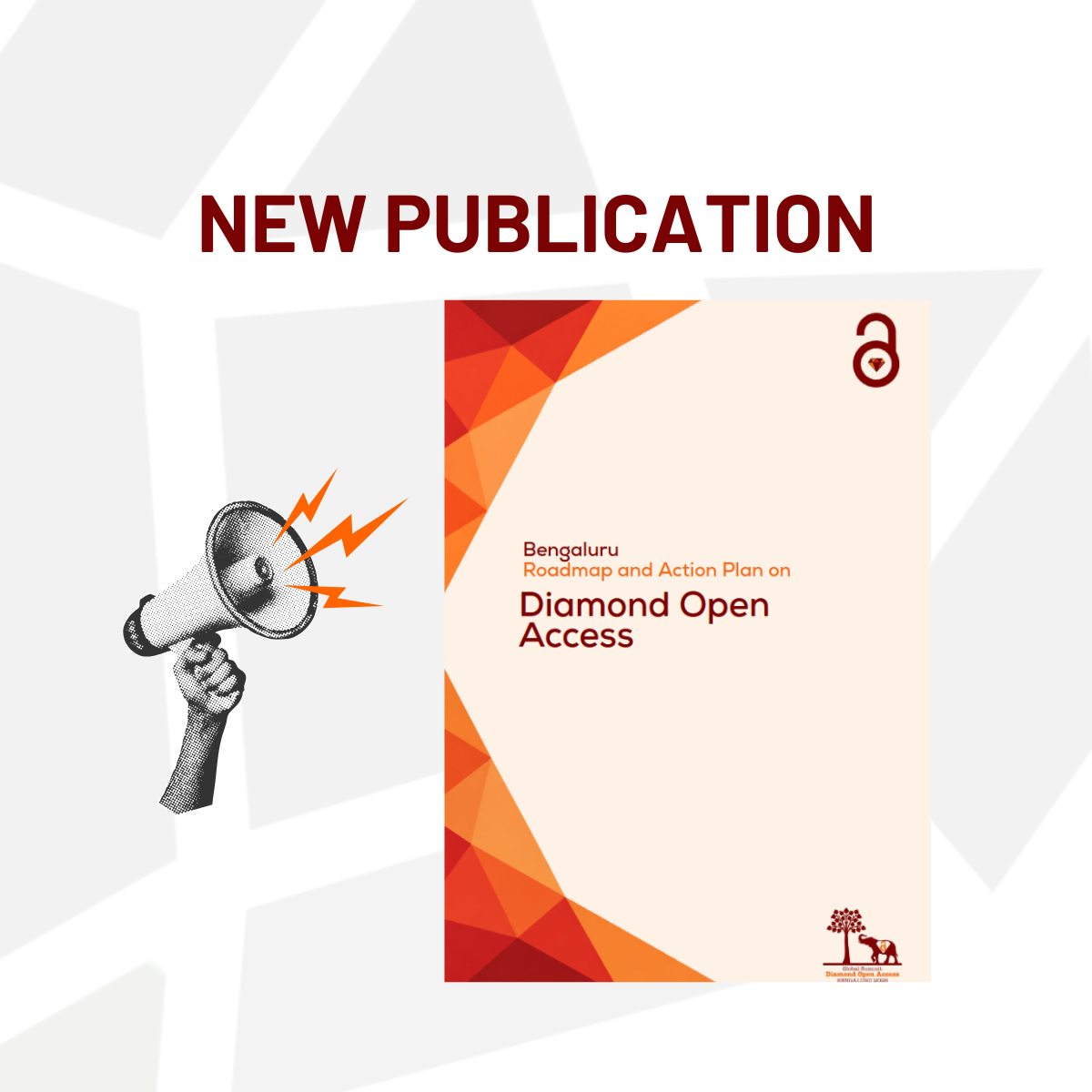 Celebrating the Publication of the Bengaluru Roadmap and Action Plan on Diamond Open Access